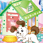 Dog House Decorating
